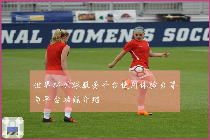 世界杯买球服务平台使用体验分享与平台功能介绍