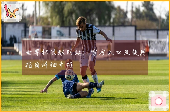 世界杯买球网站：官方入口及使用指南详细介绍