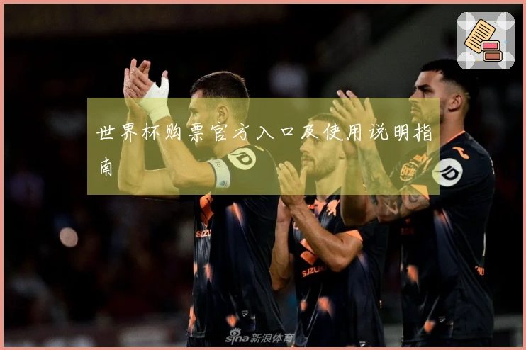 世界杯购票官方入口及使用说明指南